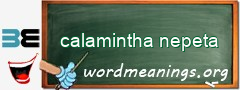 WordMeaning blackboard for calamintha nepeta